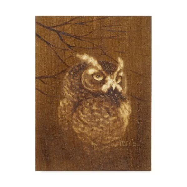 Peggy Harris 'The Witness' Canvas Art, 24x32, Trademark Fine Art, Mfr#: ALI42422-C2432GG